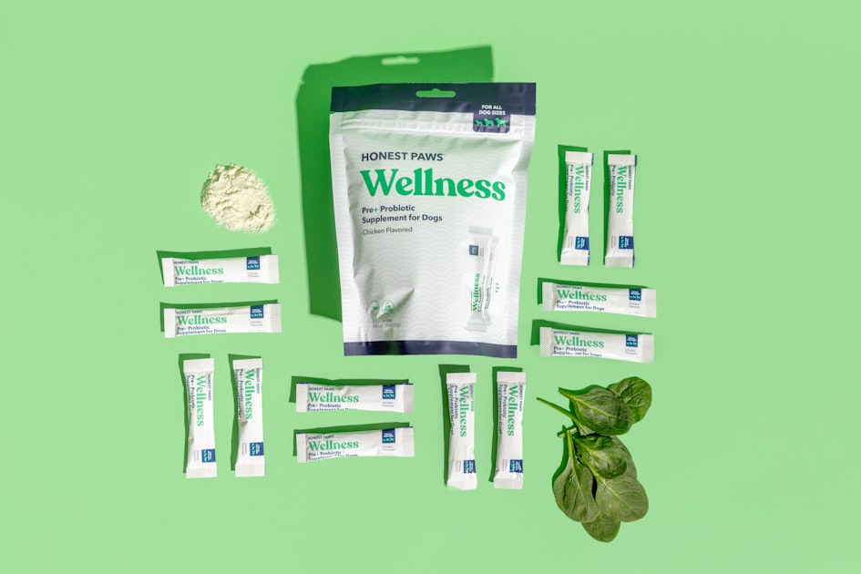 Understanding Probiotics